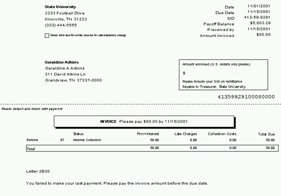 Borrower Invoice Display